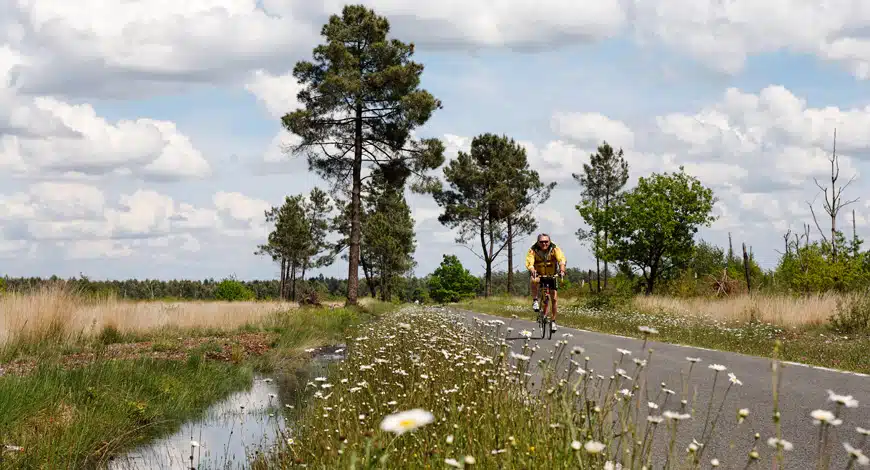 wayscral-anyway-e100-picture