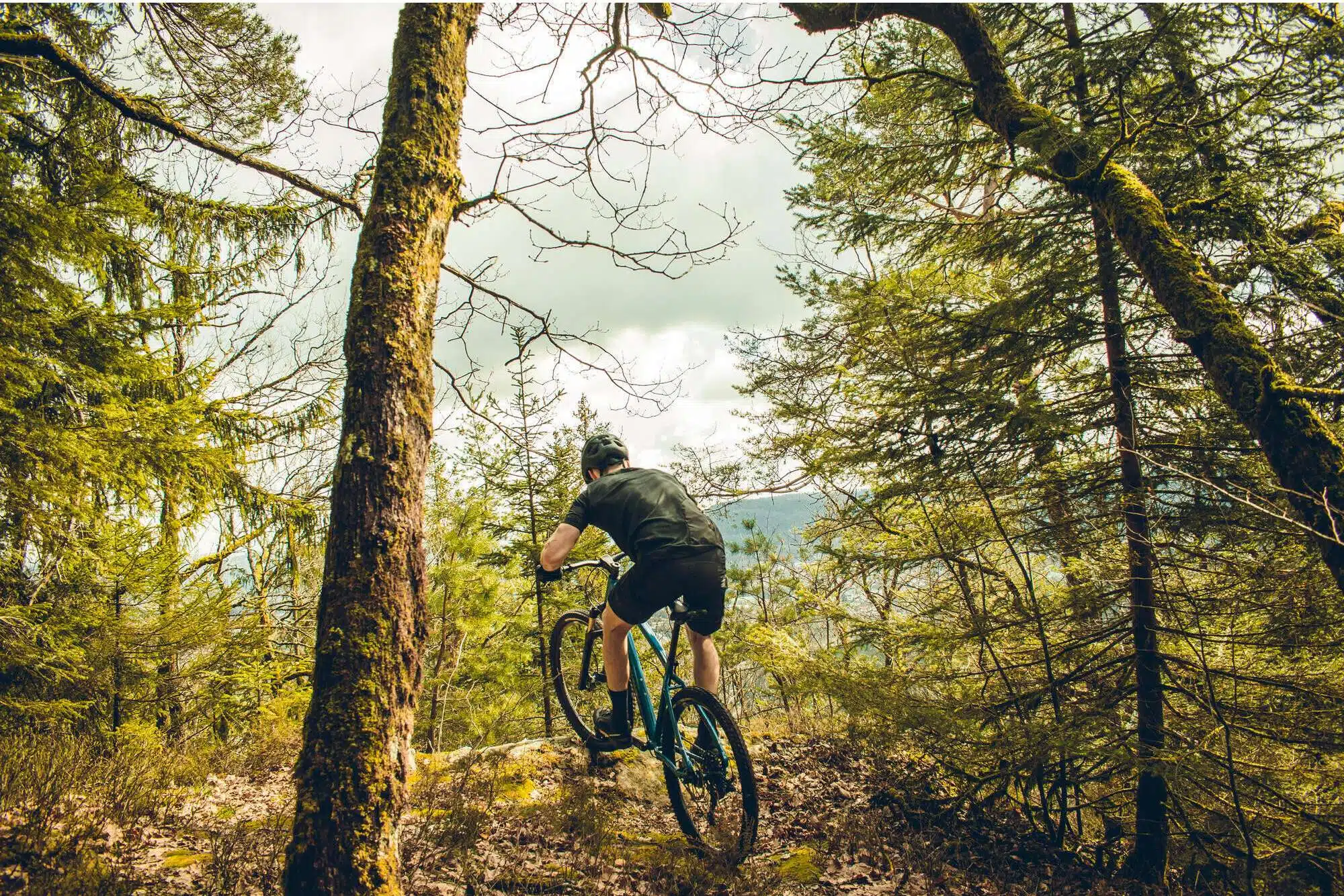 rockrider-540-photo-principale