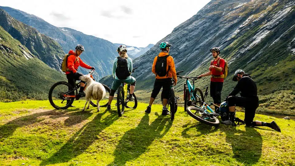 rocky-mountain-bikes-photo-principale