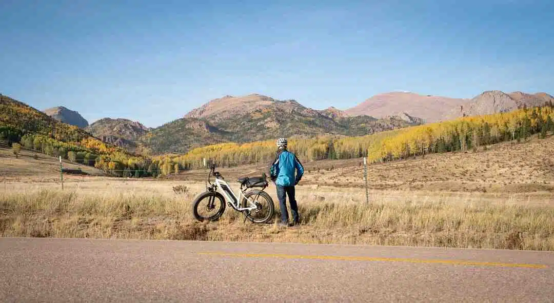 gitane-titan-27.1-picture