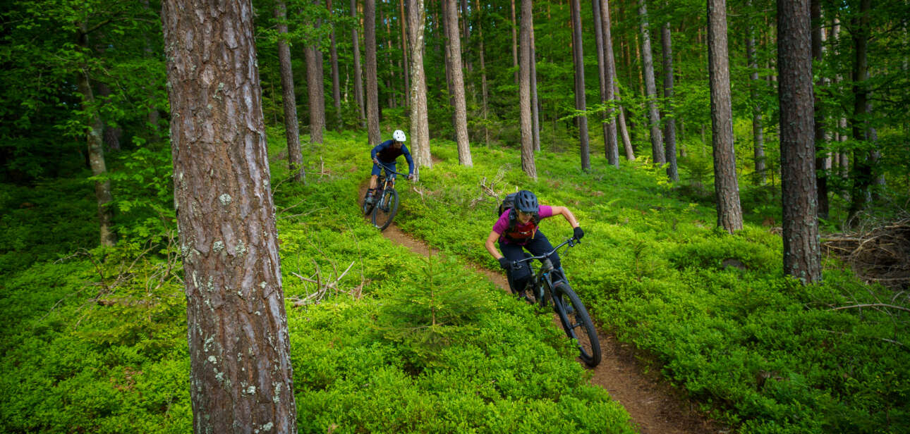 1-how-to-properly-protect-your-eyes-while-mountain-biking-tips-and-sustainable-solutions